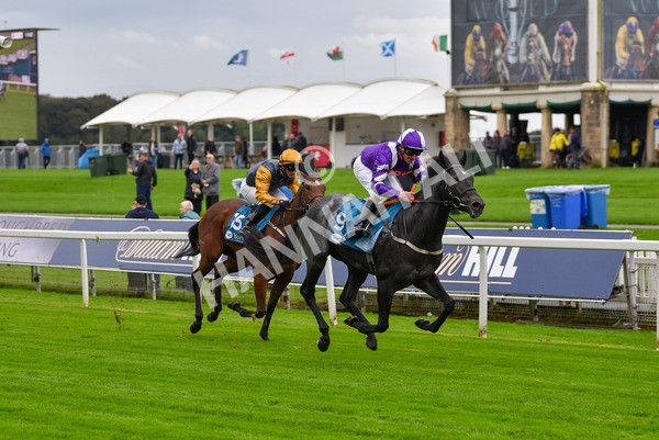 131023-Race 1-Pilgrim-9051 - Race 1 2.05pm William Hill EBF Novice Stakes