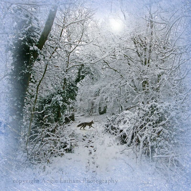  - Winter Season & Yule