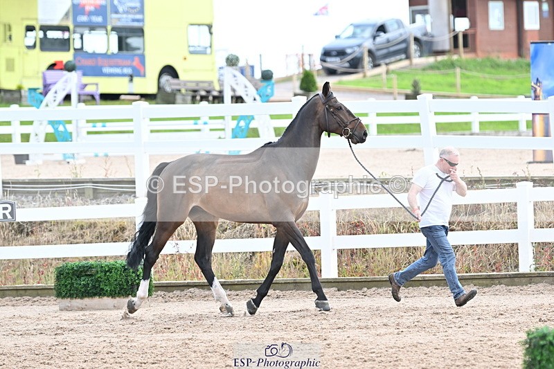 240717A-143723-02155 - Trot Up 2pm to 3pm - This folder is not in time order
