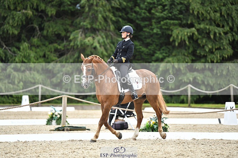 230812-141504-04650 - Cls 7 FEI PSG Bronze