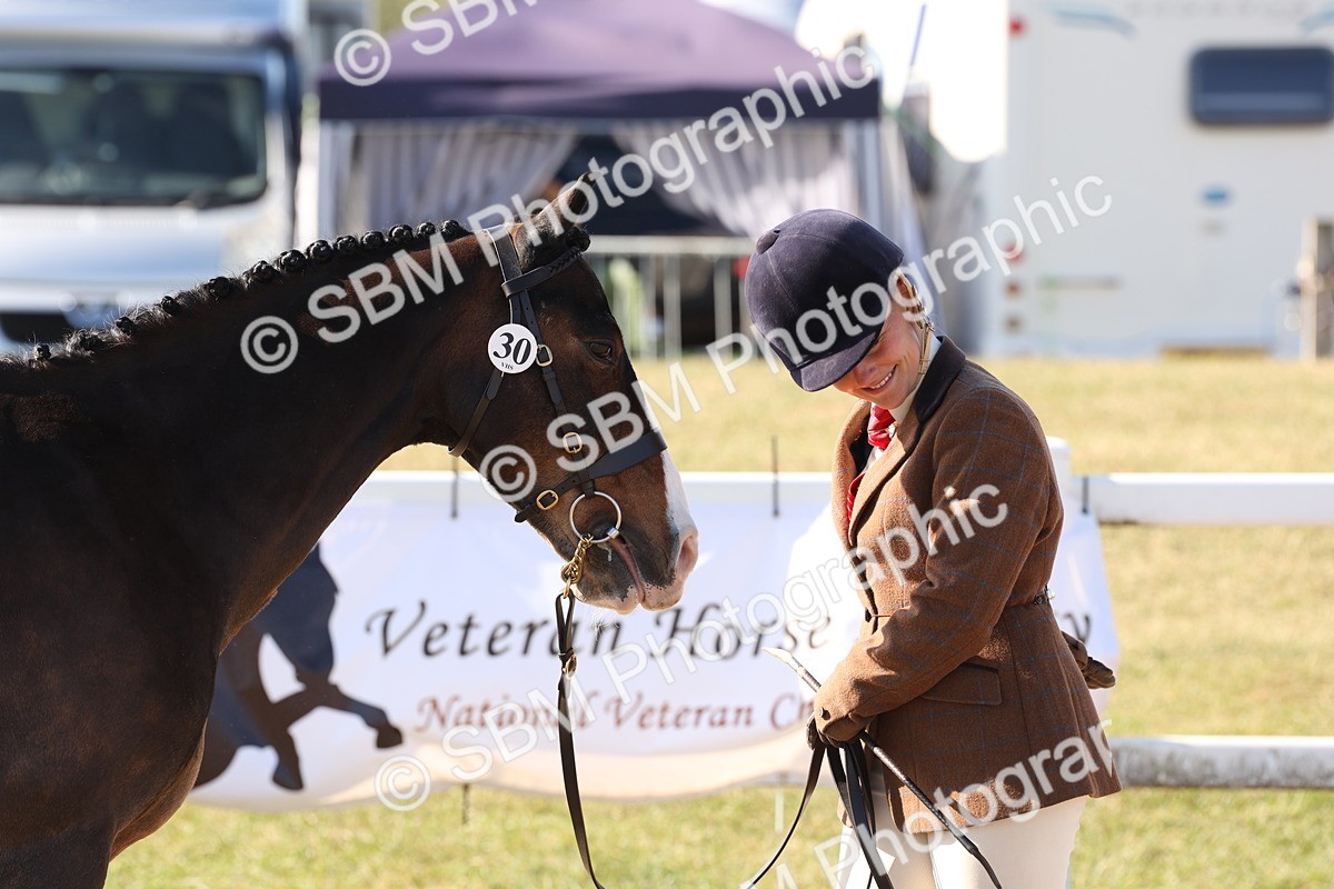 SBM_12845 - Class 205 - IH Show Pony - Show Hunter Pony