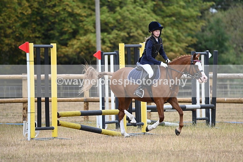 WJ6_0159 - Class 13 Novice Jumping 60cm