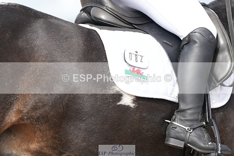 250906-121740-02294 - 082-Samantha.FussellDai.The.Pied