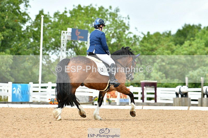 230702A-140801-10586 - Cls 32 Medium 73