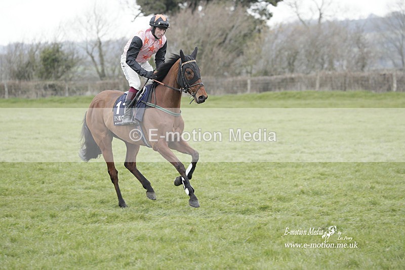 PtP 050323 821 - Blackmore & Sparkford Vale Hunt PtP - Somerset 05/03/23