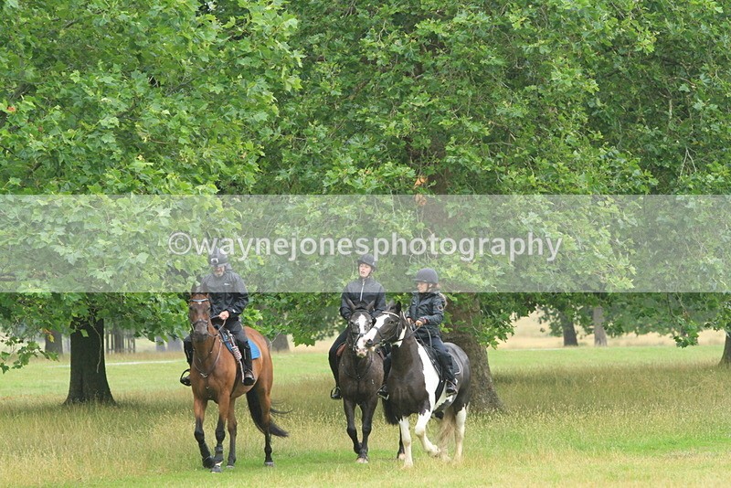 IMF_2256 - Time at Castle Jump 11:20 to 12:28