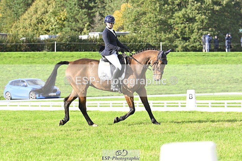 251023A-150802-04520 - E-386-Zara.Head