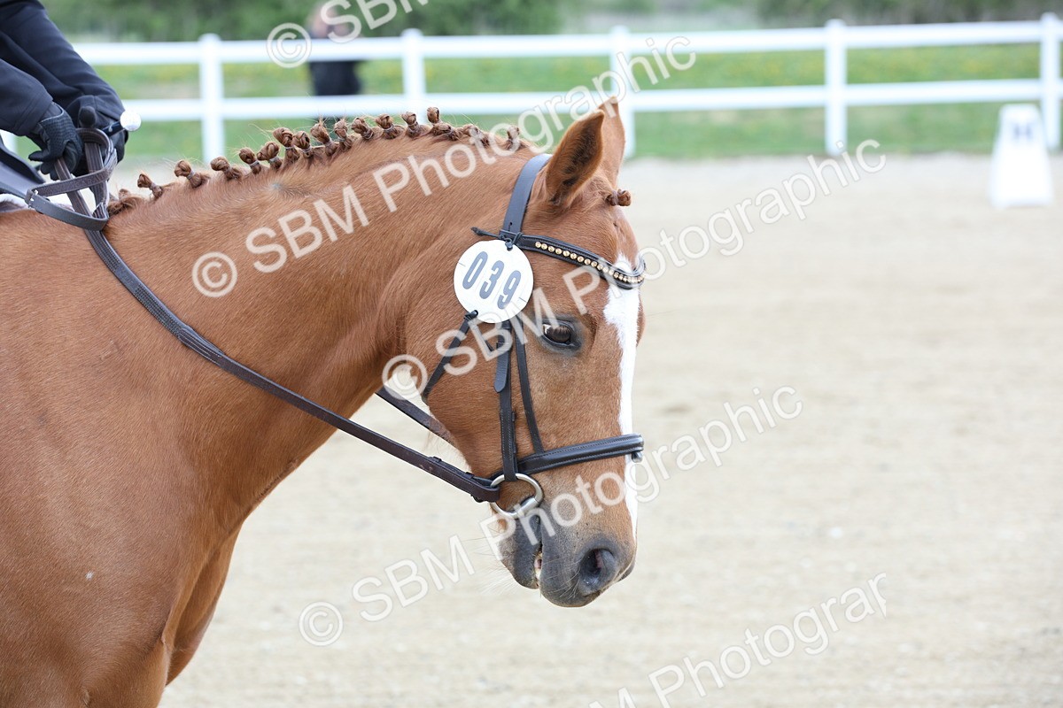 SBM_006355 - Class 1-3 - Intro 1 Lead Rein-Intro 4