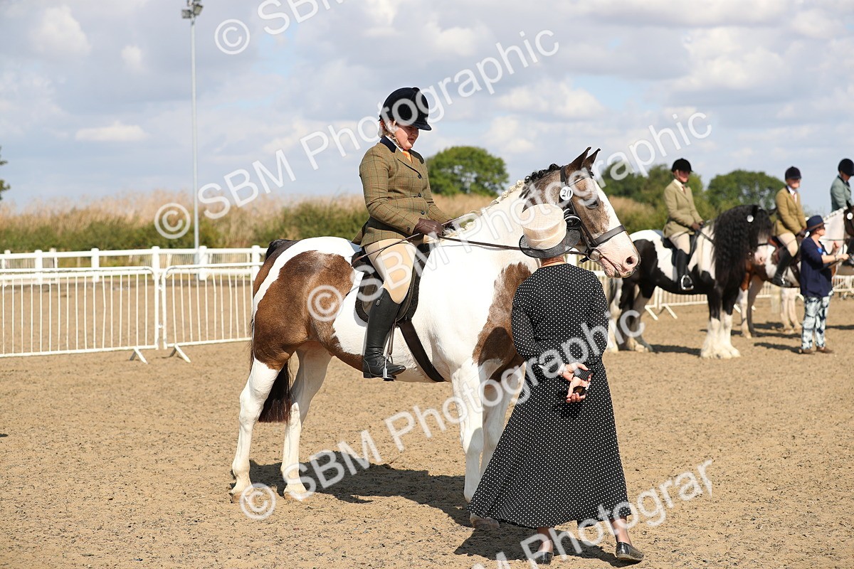 SBM_03208 - Class 44 Riding Club Horse/ Pony