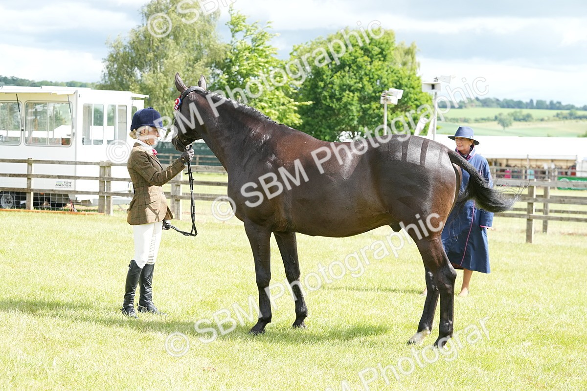SBM_12946 - Class 99 - RIHS SEIB Working Show Horse