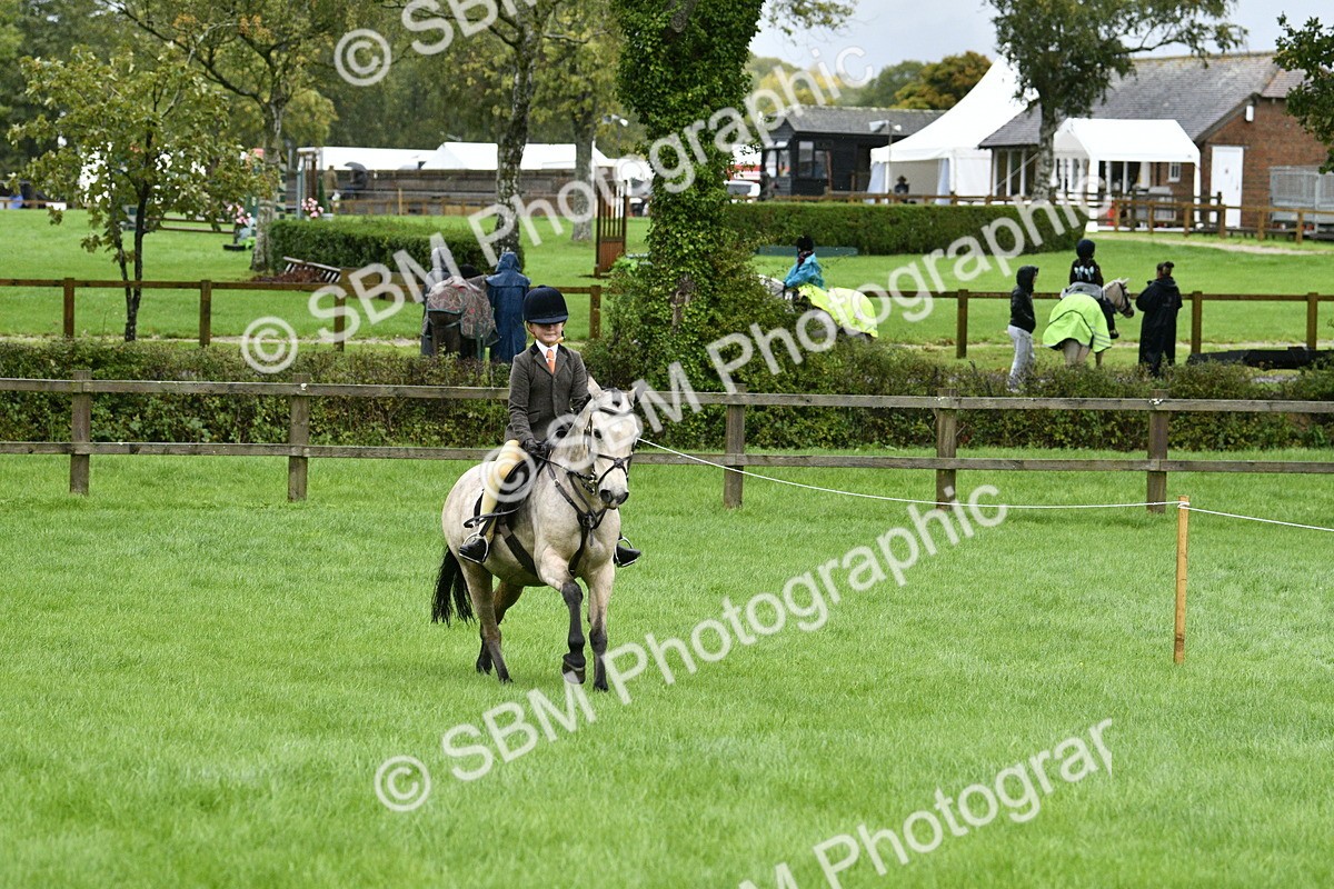 SBM_35550 - S30 - Nursery Stakes Working Hunter Pony