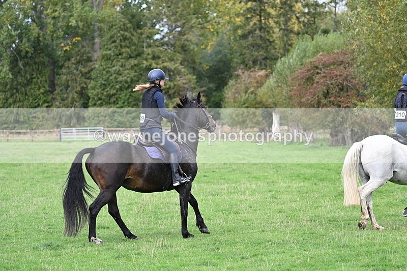 WJ7_9032 - Time 12:40 to 12:54