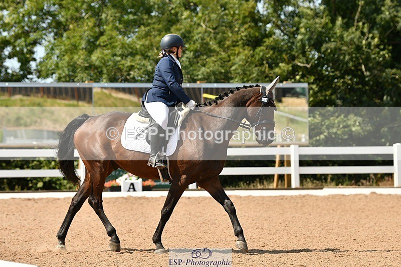 250817-133717-10000 - 033-Frankie.TorodeFirst.Impression.VI