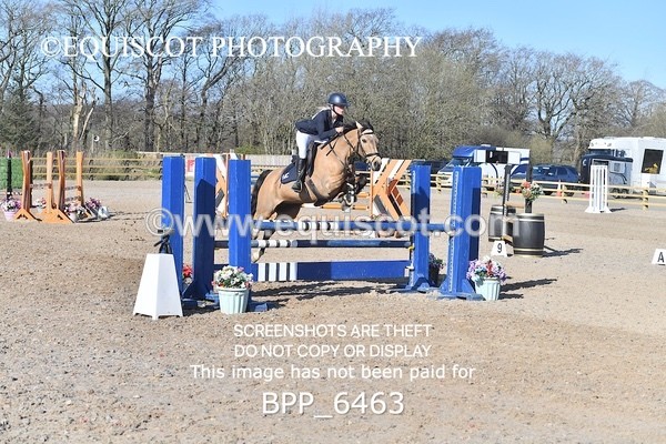 BPP_6463 - CLASS 10 SUN Newcomers/ 1m Open