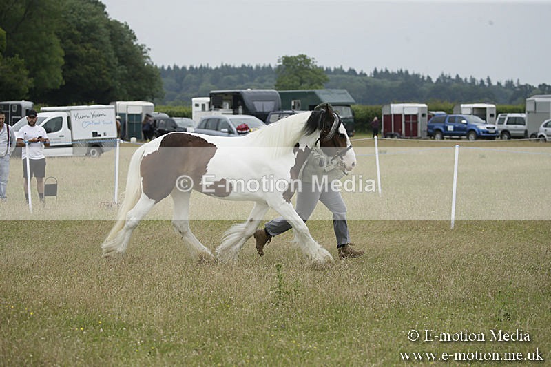 B230619-0728 - Bourne Valley Riding Club Summer Show 23/06/19