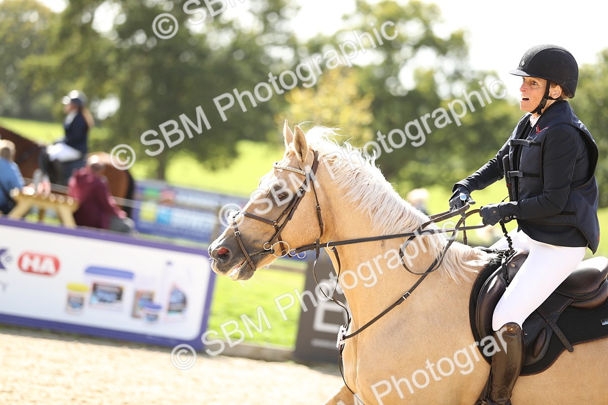 SBM_05743 - J35 - Veteran Rider 60cm