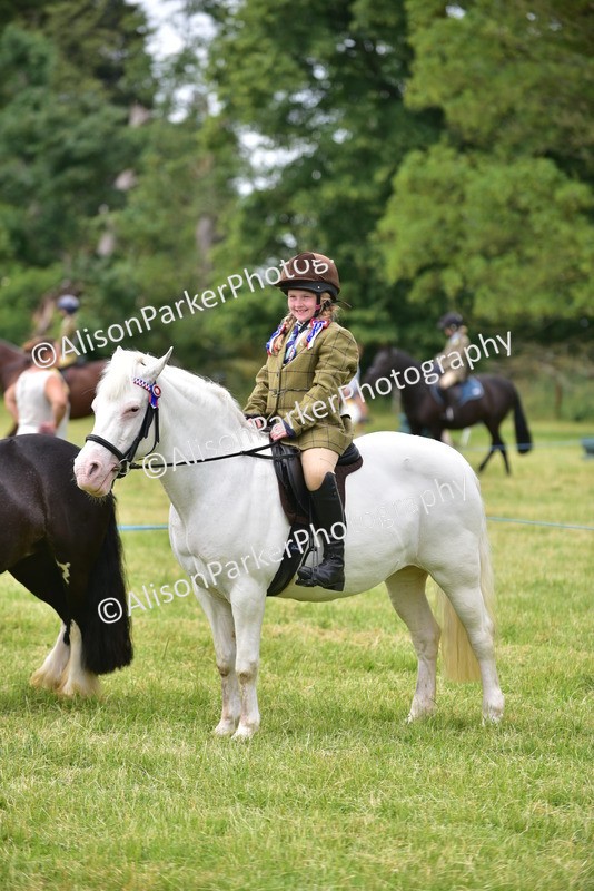 20260614-3688 - Class 15 - Prettiest Mare