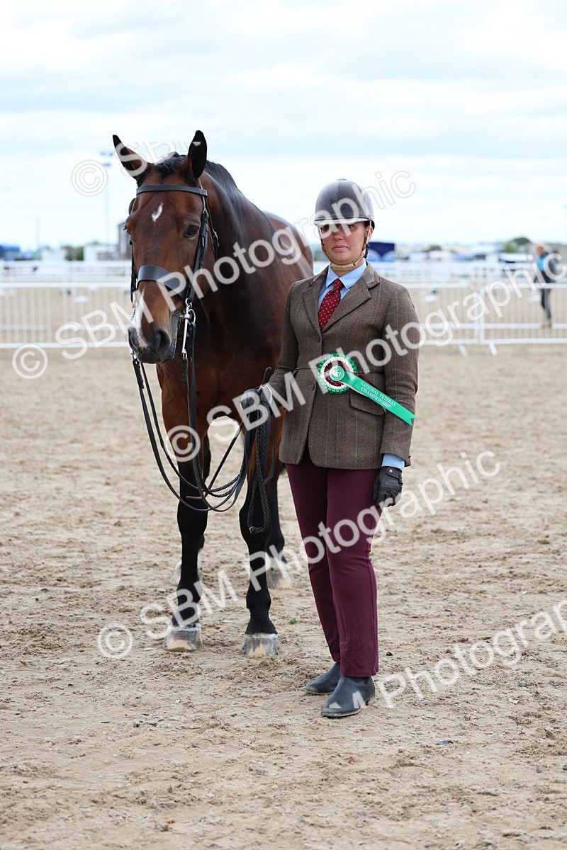 SBM_05798 - Class 28 - IH Veteran Horse