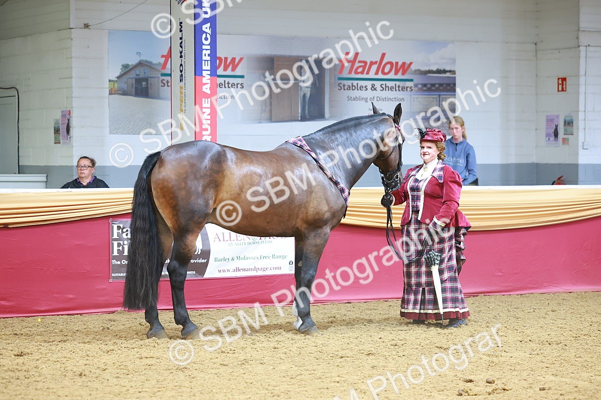SBM_13608 - Class 104 - IH  Costume
