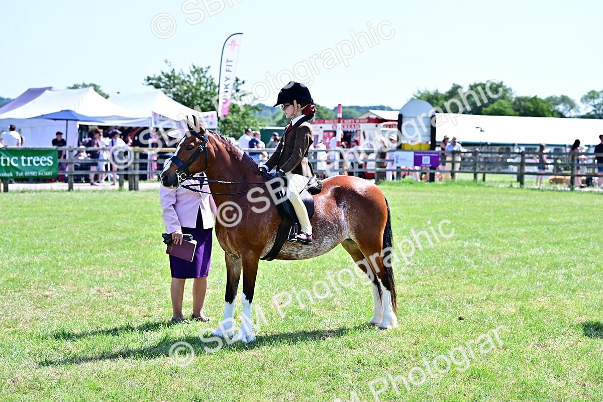 SBM_13912 - Class 95-97 - BSPS LHS Performance Ponies