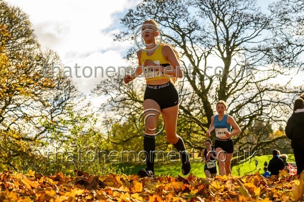 NatRel25-913645 - Young Female Set Two