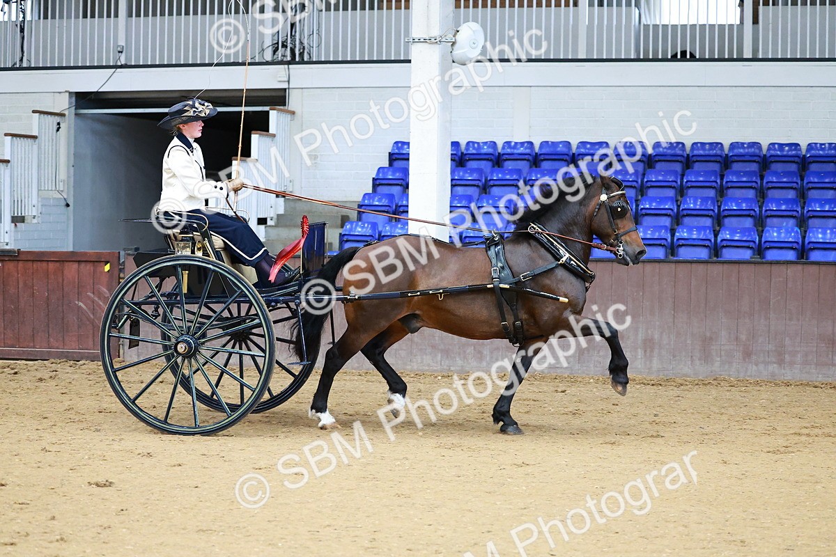 SBM_000191 - Class 3 - Alison Thomas Memorial Lady Whip