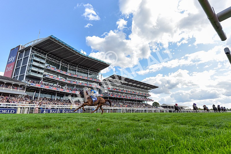 220826-Race 1-Archivist-5920 - Race 1 13.50pm Sky Bet Strensall Stakes
