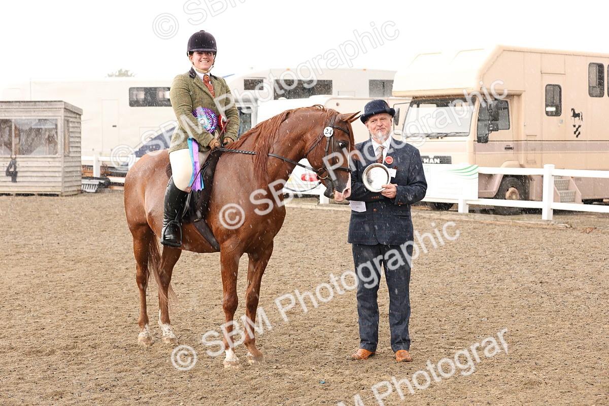 SBM_07599 - Class 59b -  Style & Performance - 80cm (20+)