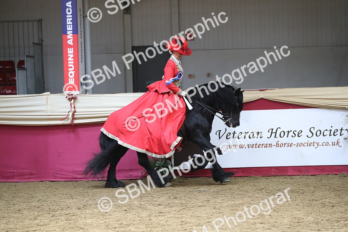 SBM_12210 - Class 107 Ridden Costume- Astride Adult (20+)