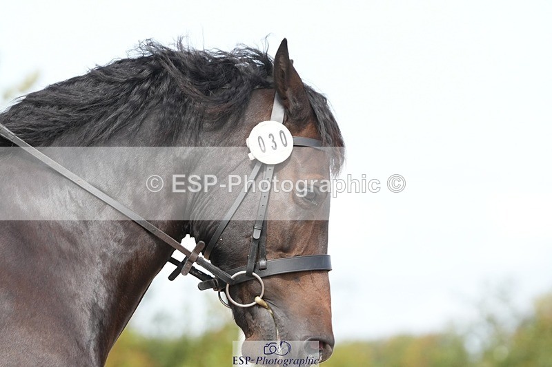 250906-111233-01957 - 030-Rebecca.Ezra.-.HamMaesmynach.Mr.Sam