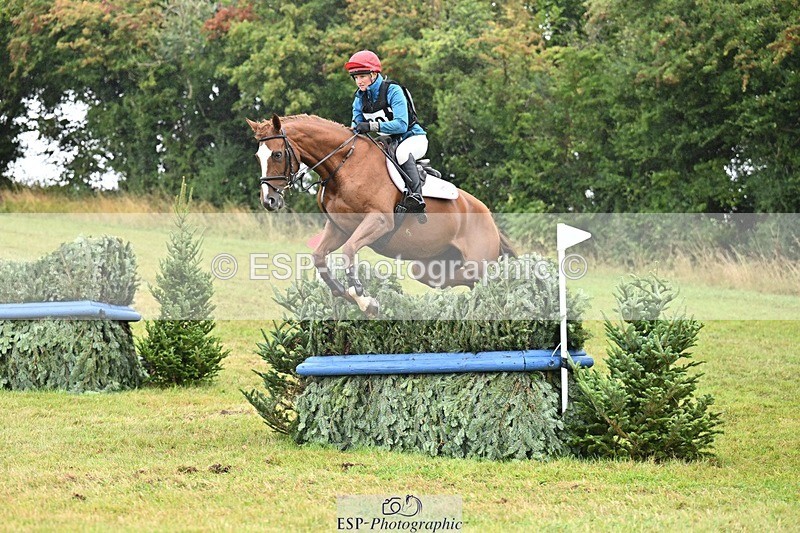 TS_b0746496 - SAT BE 90 Recovered Files fence 8