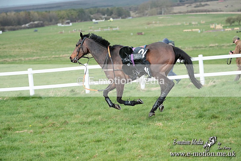 PtP 230324 912 - Tedworth Hunt PtP Larkhill Raccourse 23rd March 2024
