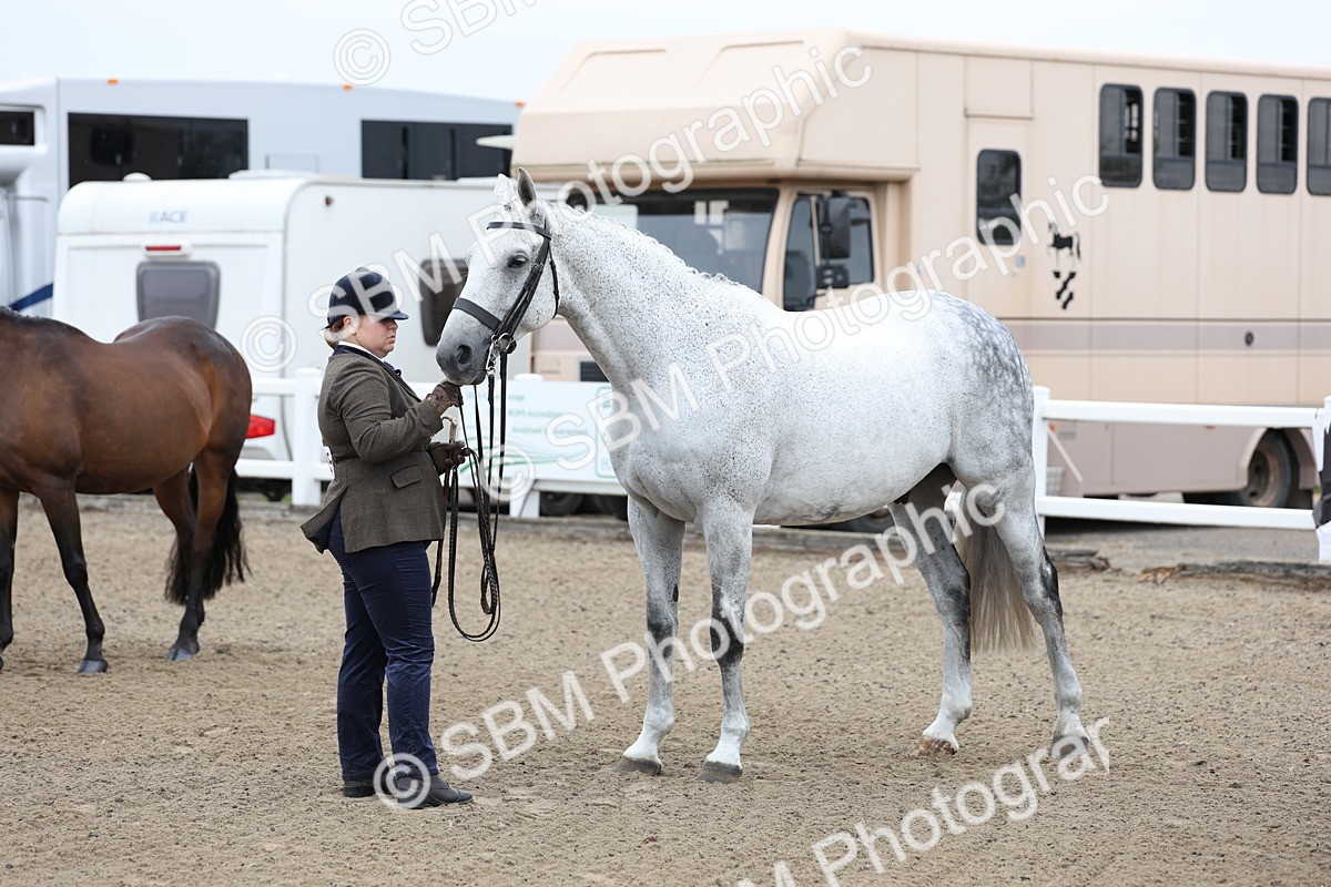 SBM_00052 - Class 50 - Best Turned Out IH