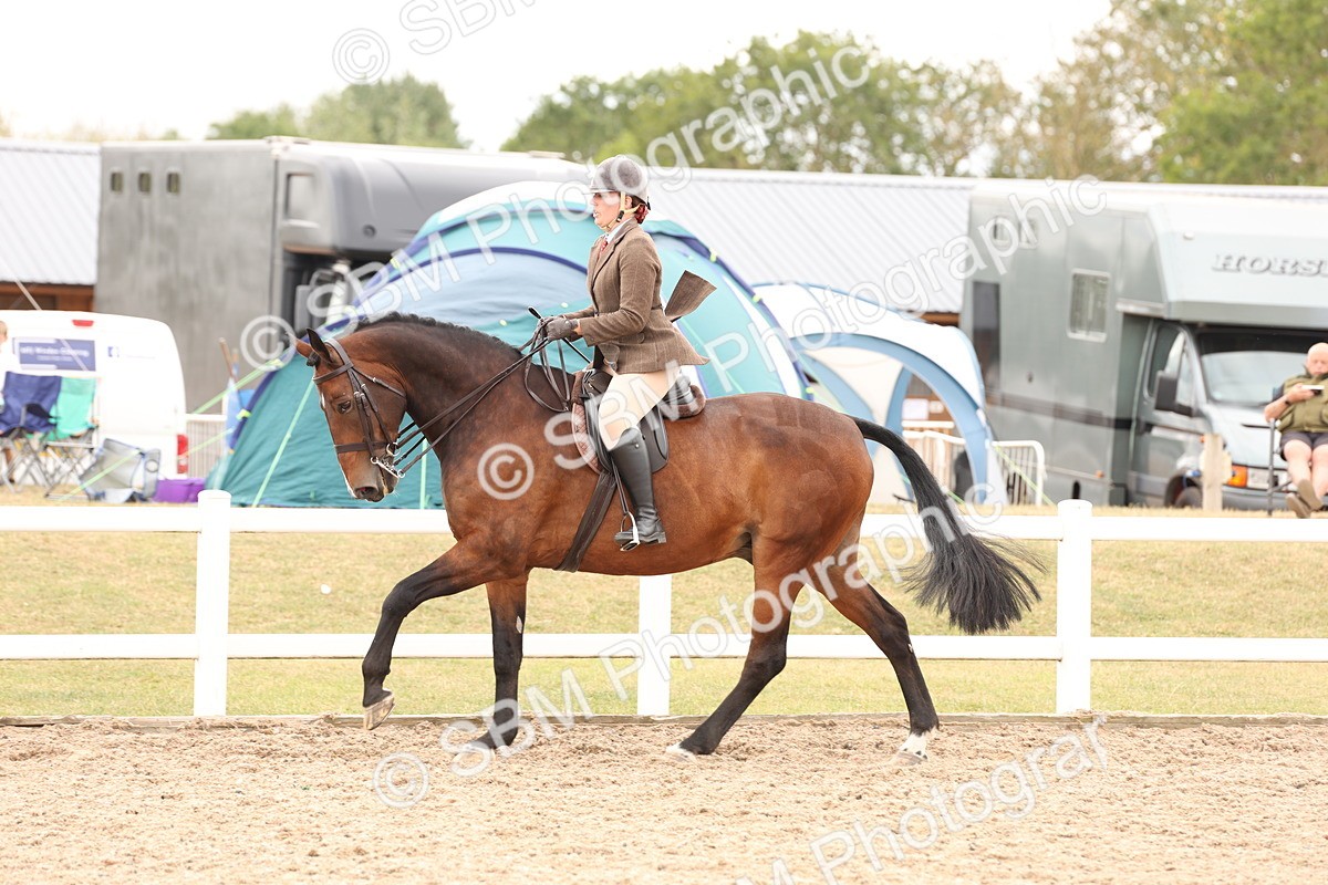 SBM_17234 - Class 213 - Ridden Hunter - Large