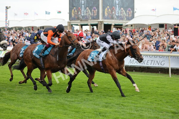 yr04092022r2-30 - Race 2 2.20pm John and Judith Marshall Memorial Stakes