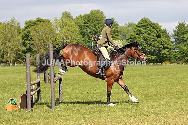 IMG_4703 - Working Hunter