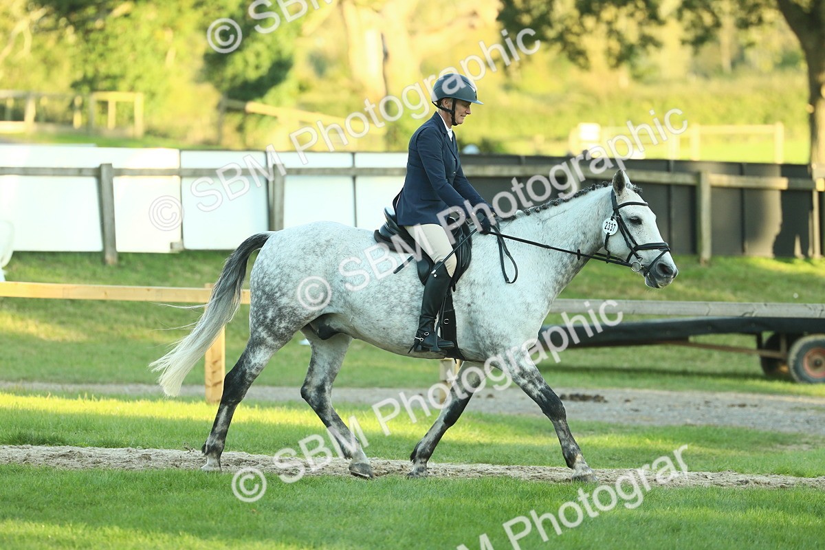 SBM_55592 - S14 - Riding Club Horse