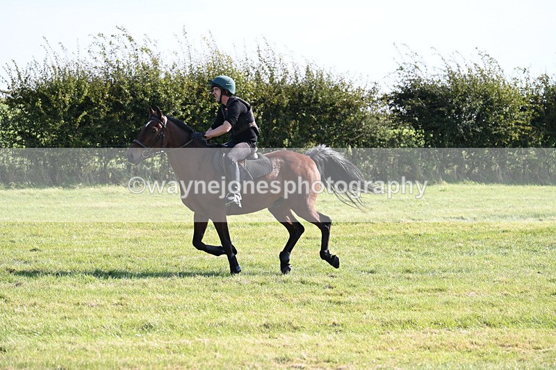 WJ7_5617 - Time 10:38 to 10:51