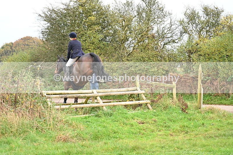 WJ7_0283 - Camera 1 & Last fence