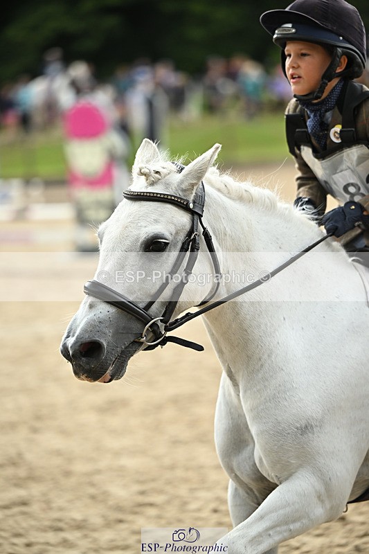 240822X-150905-10696 - 50cm R1 15.00 to 16.00