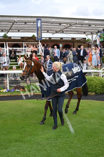 yr21052022r3-35 - Race 3: 3:30pm William Hill Best Odds Guaranteed Stakes