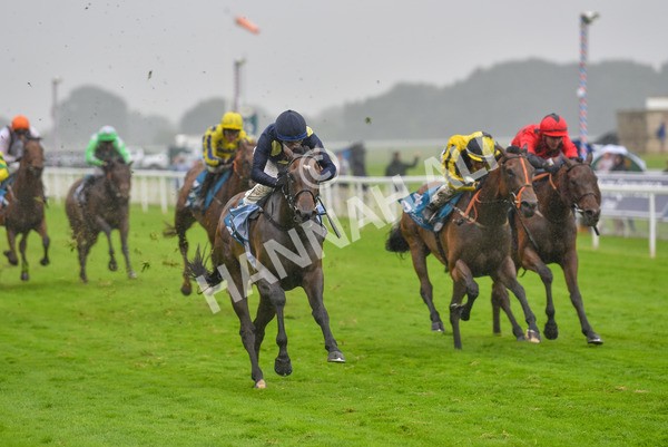 140723-Race 5-Monte Linas-8286 - Race 5 4.25pm Coopers Marquees Handicap