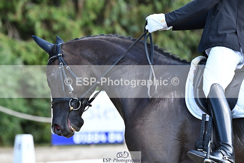 250808A-162343-01926 - 127-Joe.RoomeMonarchs.Way.Her.Grace