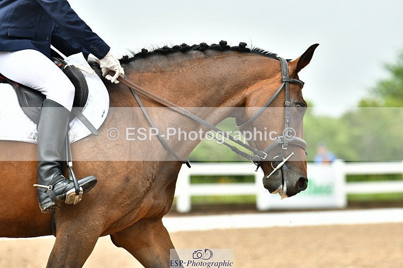 230708A-135926-03334 - Prelim 14