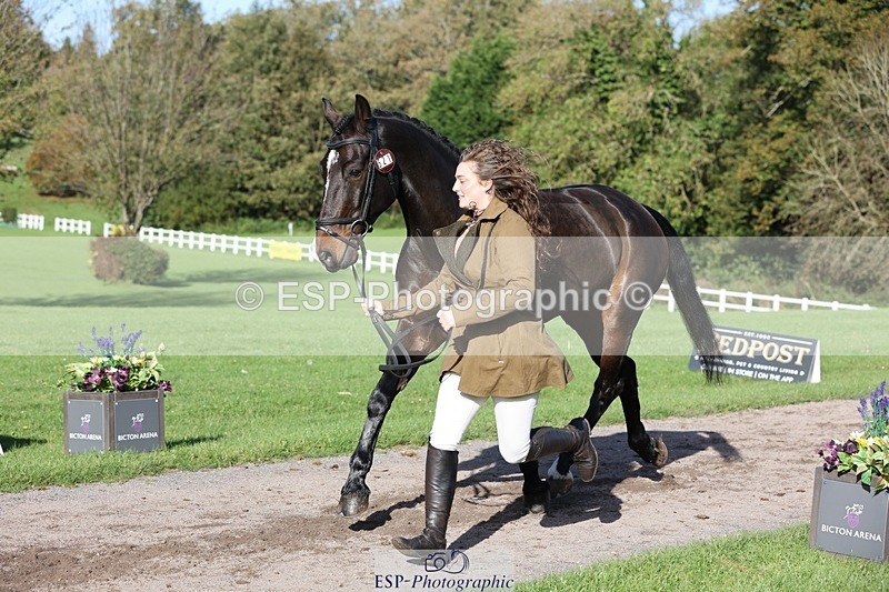 241027-103542-15986 - 521-Rhianna.Ryan-HATTERALL.NEW.YORK