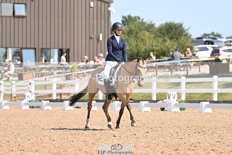 250816-120014-04386 - 060-Felicity.HendySheepcote.Champion.Star