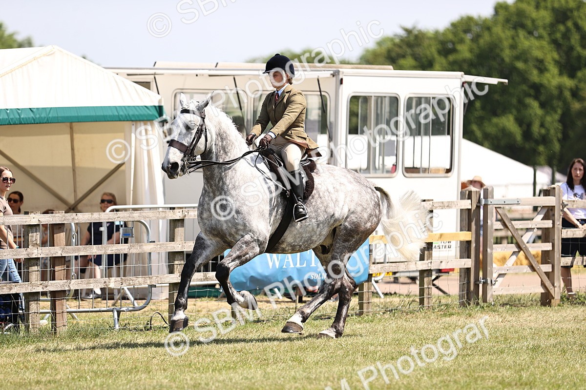 SBM_16129 - Class 79-80 - LIHS BSHA Rising Star Ridden Hunter