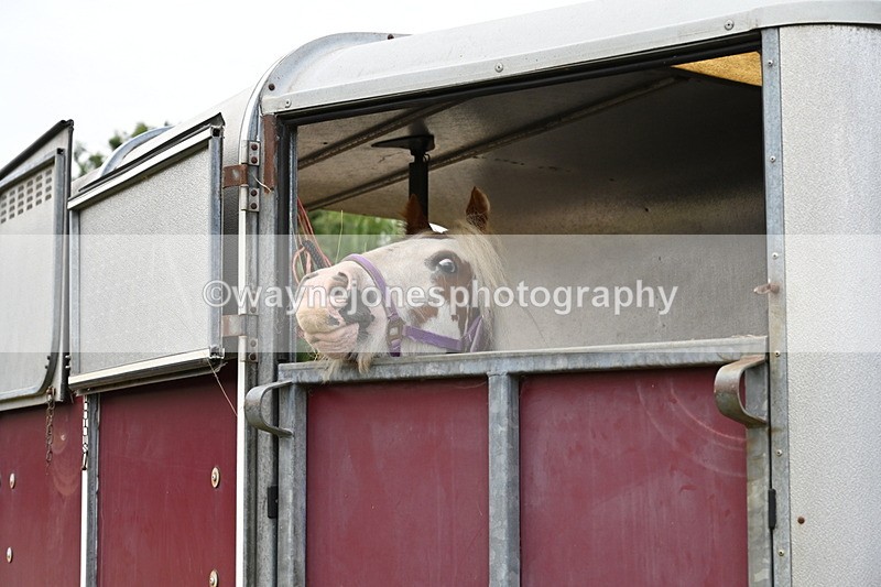 WJ6_3006 - Berks & Bucks - The Old farmhouse - Hound Exercise 20-08-25