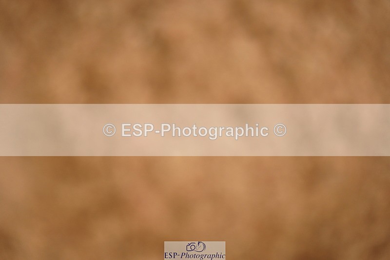 240526A-141834-08495 - Cls 28 Newcomers