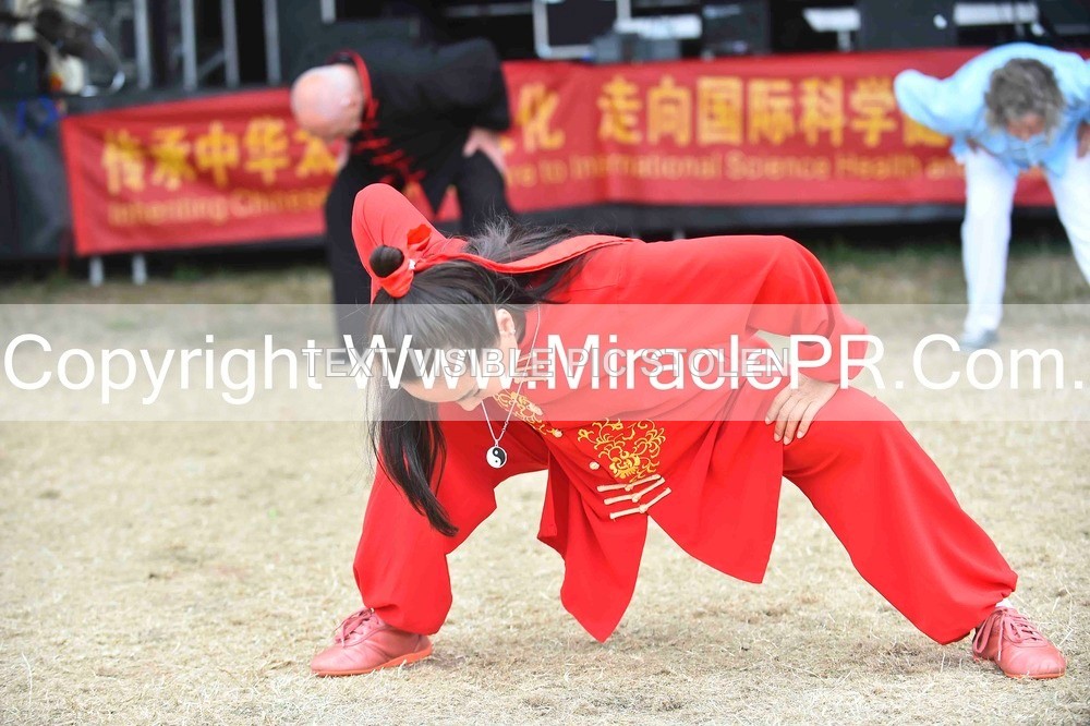 SH4_1427 - Tai Chi with Lisa Kay.